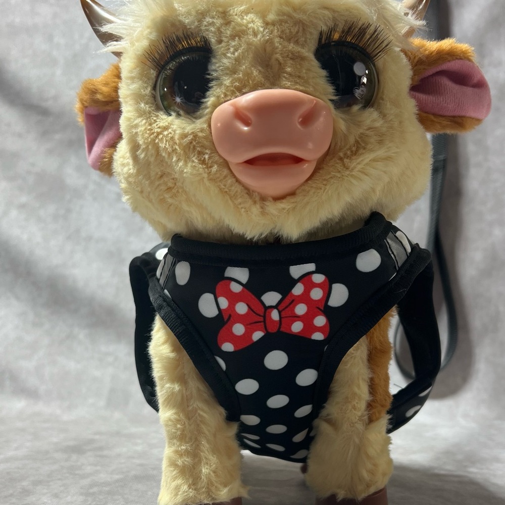 Polka Dot Dog Harness with Leash - Black and Red